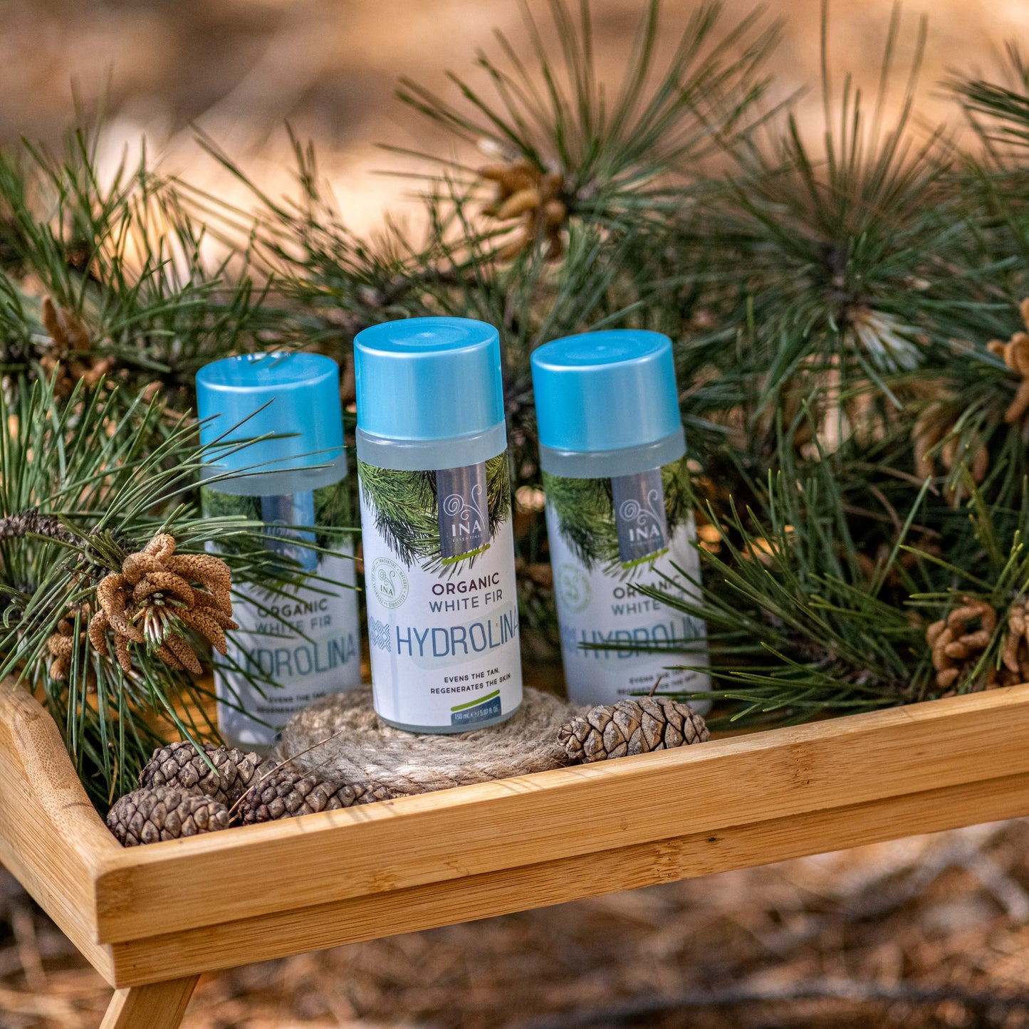 GRATUITE Eau de Sapin blanc - Hydrolina - Bio Hydrolat pour l'Hyperpigmentation