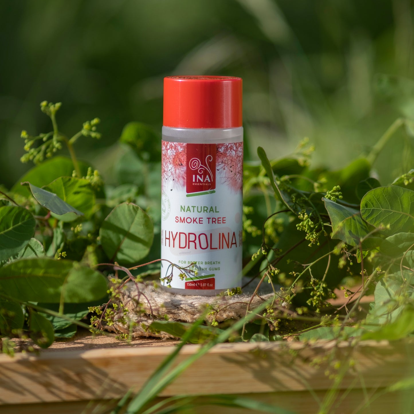 + Cadeau Bains de bouche Naturel Arbre à Perruques - Hydrolina - Hydrolat pour le Saignement des gencives et la Mauvaise haleine