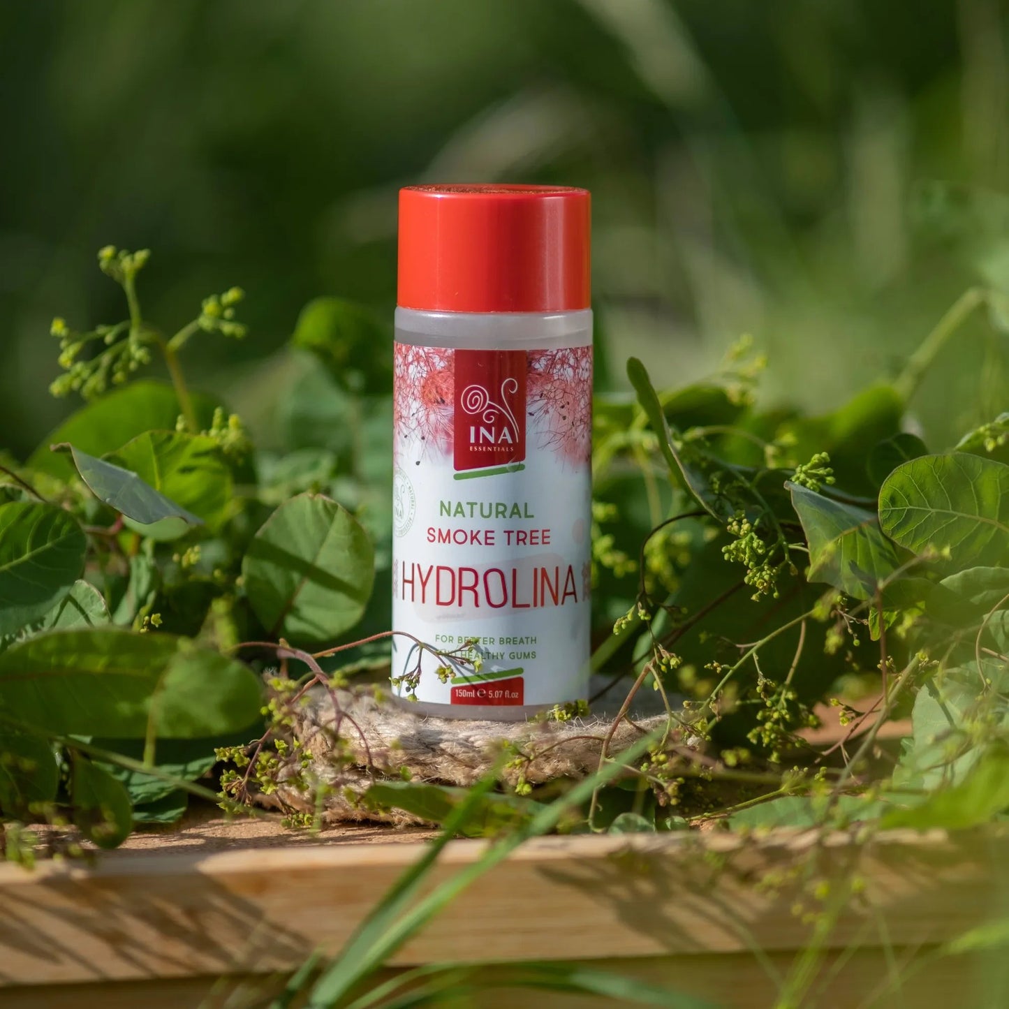 + Cadeau Bains de bouche Naturel Arbre à Perruques - Hydrolina - Hydrolat pour le Saignement des gencives et la Mauvaise haleine