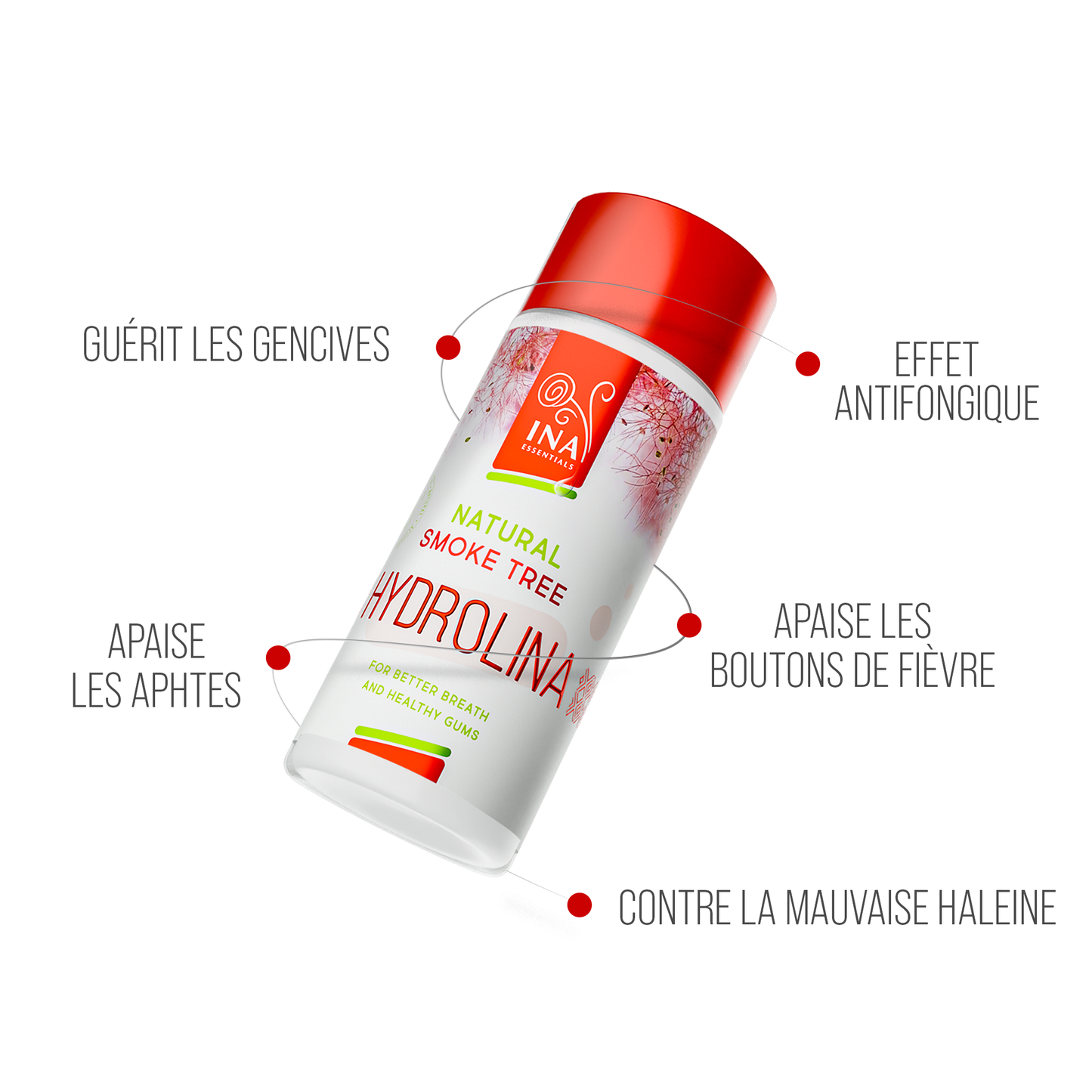 + Cadeau Bains de bouche Naturel Arbre à Perruques - Hydrolina - Hydrolat pour le Saignement des gencives et la Mauvaise haleine