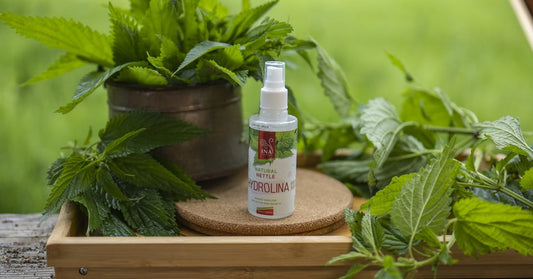 Ortie sauvage Urtica dioica et Eau d'Ortie sauvage Hydrolina