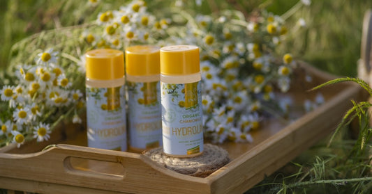 Camomille Matricaria chamomilla et Eau de Camomille Bio Hydrolina