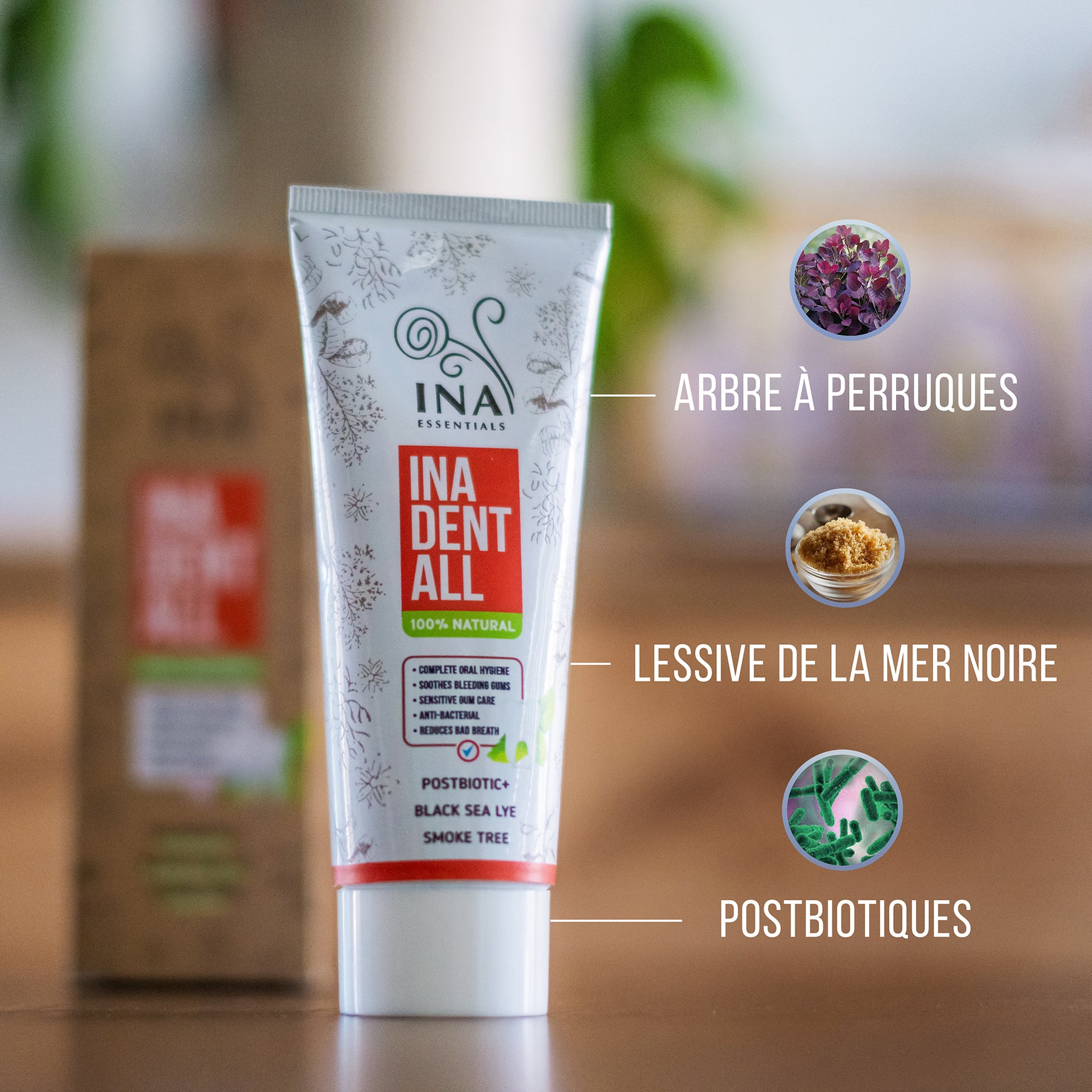 Dentifrice Naturel Sans Fluorure avec Arbre à Perruques, Lessive de la Mer Noire et Postbiotique - Ina Dent-All